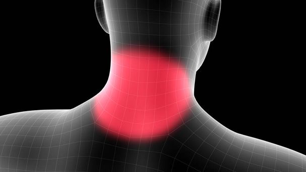 Illustrazione 3d di un ologramma dei raggi X degli uomini che mostra l'area di dolore sulla parte posteriore - Foto, immagini