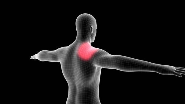 3D-Illustration eines Männer-Röntgen-Hologramms, das die Schmerzzone im Rückenbereich zeigt - Foto, Bild