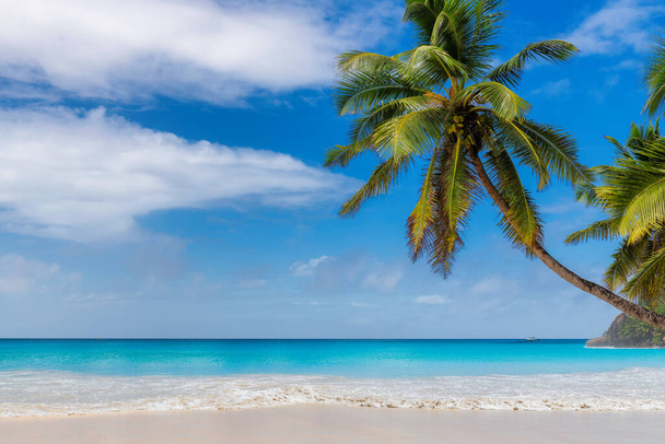 ジャマイカのパラダイス島の日当たりの良いビーチとターコイズブルーの海にココヤシ。夏休みとトロピカルビーチのコンセプト. - 写真・画像