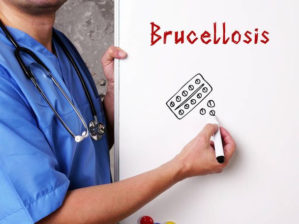 Medisch concept over Brucellose met inscriptie op het blad - Foto, afbeelding