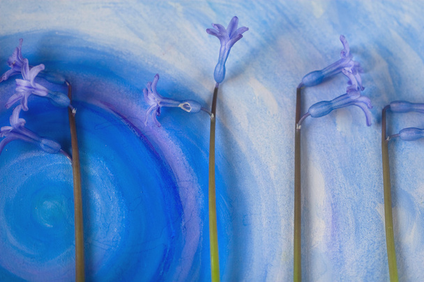 fragrant spring flowers on blue painted sheet of paper - Photo, Image