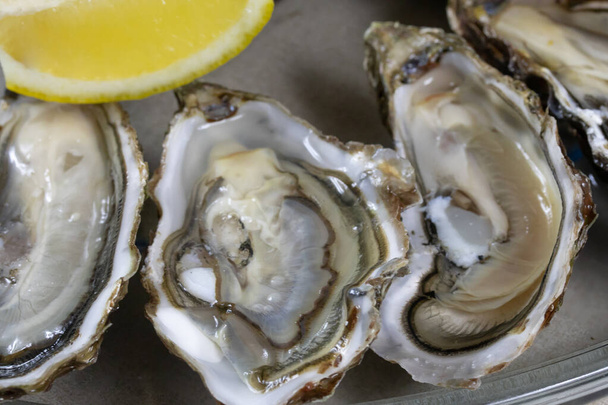 Oyster platter on a table. - Photo, image