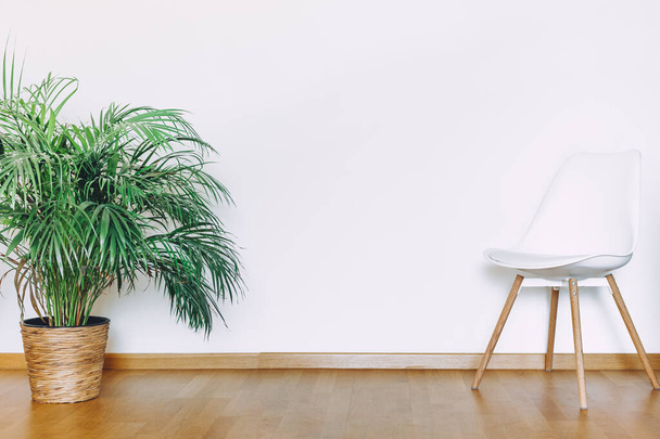 Pared plana interior con maceta verde y silla en estilo minimalista. Interior en estilo escandinavo luz aireada con suelo de madera - Foto, Imagen
