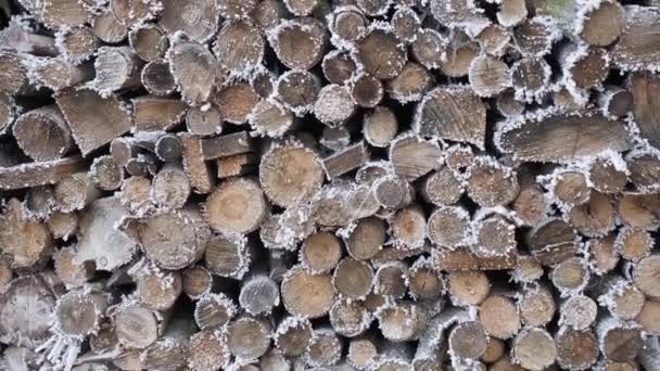 Kousky dřeva pro vytápění, pokryté chrastítkem. - Záběry, video