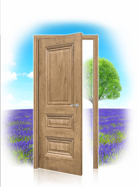 portas de madeira, portas para o céu, porta aberta, paisagem fora da porta - Vetor, Imagem