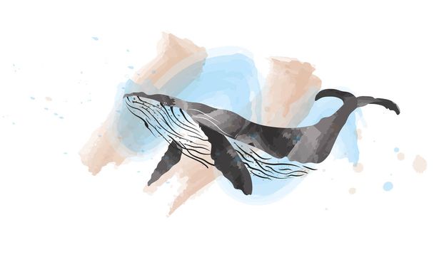 Whale vector illustration - Διάνυσμα, εικόνα