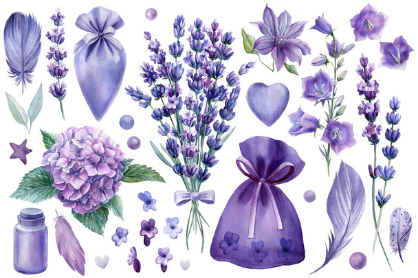 Ensemble d'éléments fleurs de lavande, hortensia, sacs, bouteilles, perles et coeurs, dessins à l'aquarelle - Photo, image