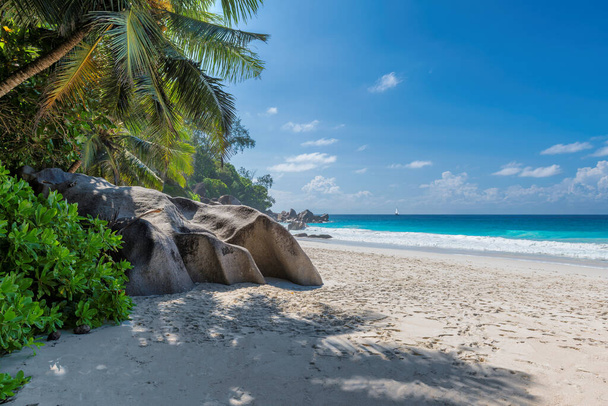 Playa tropical soleada y palmeras de coco en Praslin, Seychelles. Vacaciones de verano y concepto de playa tropical. - Foto, Imagen