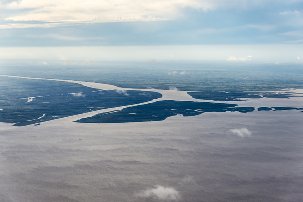 Δέλτα του ποταμού Παρανά στην Αργεντινή. - Φωτογραφία, εικόνα