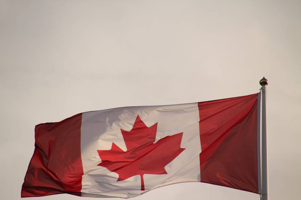 Επίσημη σημαία του Καναδά - Φωτογραφία, εικόνα