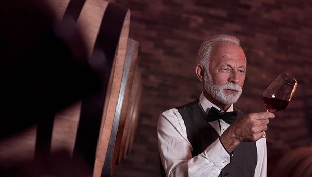 Senior man looks color of wine by raising a glass against the light in the cellar - Фото, изображение