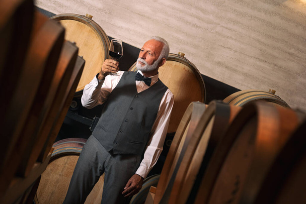 Senior elegant man standing by barrels in wine cellar with glass of wine - Фото, изображение