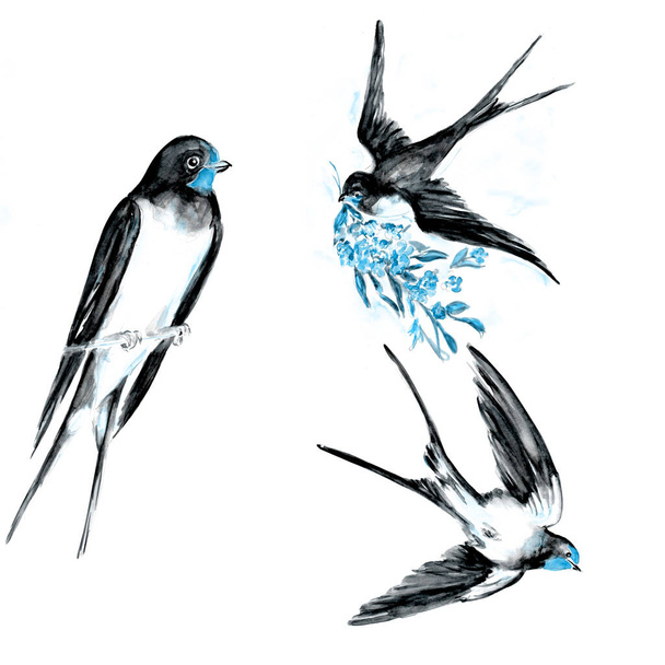 Acquerello disegnato a mano arte di uccello. - Foto, immagini
