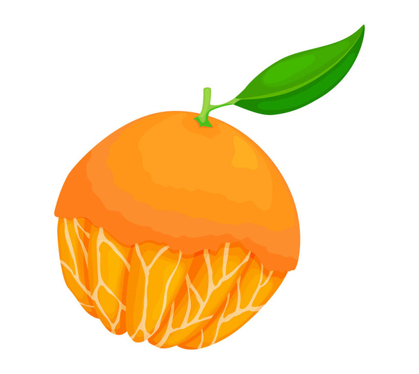 Naranja madura fresca. Fruta entera con hojas. Ilustración vectorial en un estilo plano - Vector, imagen