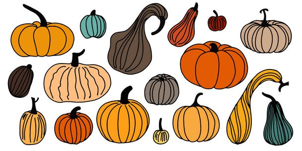 Set of black thin line colored pumpkins on a white background. Vector illustration. Thanksgiving autumn design background. - Вектор,изображение