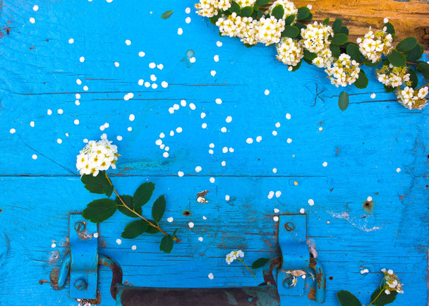 Праздничная цветочная композиция на голубой деревянной двери. Вид сверху. копировальное пространство - Фото, изображение