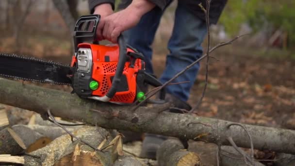 Homem lenhador iniciando uma motosserra e serragem árvore log em câmera lenta - Filmagem, Vídeo