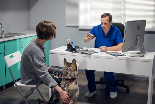 彼のオフィスで美しいですずさんな犬を調べる獣医 - 写真・画像