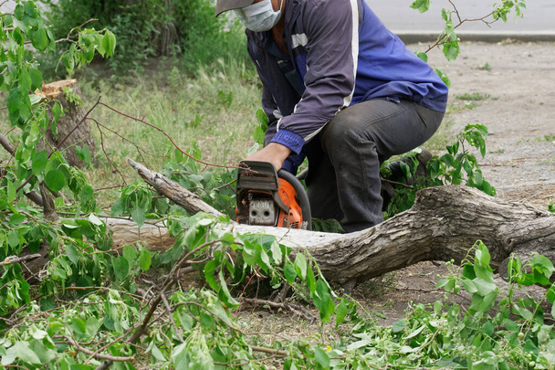 Ein Arbeiter in medizinischer Schutzmaske schneidet einen Baum, der auf den Asphalt gefallen ist. In einem Stadtgarten, Park oder öffentlichen Garten. Arbeiter während einer Pandemie - Foto, Bild