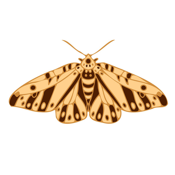 Abstrakt isolierte vektorlinierte Illustration Design mit Schmetterling in pastellgelben Farben - Vektor, Bild