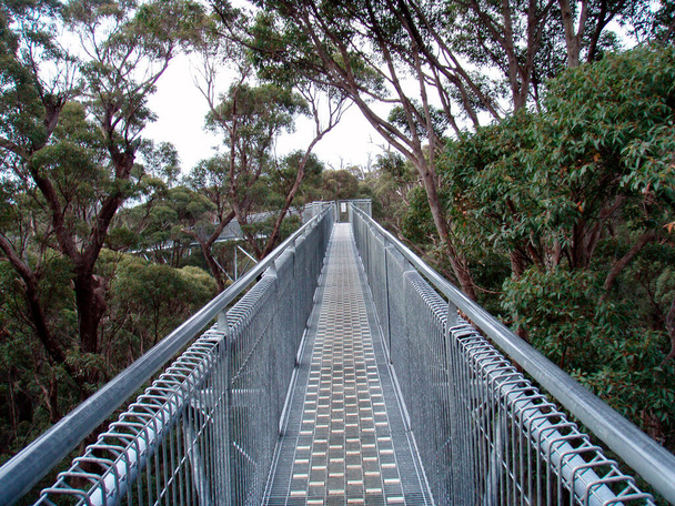 een voetgangersbrug gebouwd voor het oversteken van natuurlijke obstakels te voet - Foto, afbeelding