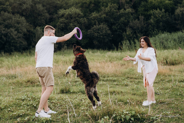 American Akita dog for a walk with a guy and a girl on the green prairie - Photo, Image