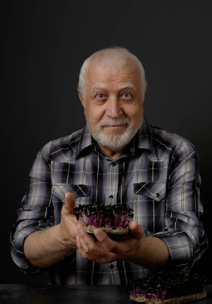 Een volwassen grijze mannelijke boer, oud, toont een oogst van microgreens in zijn handen en kijkt vurig in de camera. Portret, studio, donkere achtergrond, close-up, focus op gezicht en gewas. - Foto, afbeelding