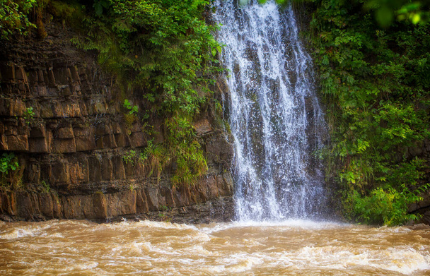 Ein kleiner Wasserfall in der Nähe des Synevir-Sees, der in einen schnellen Gebirgsfluss fällt. - Foto, Bild