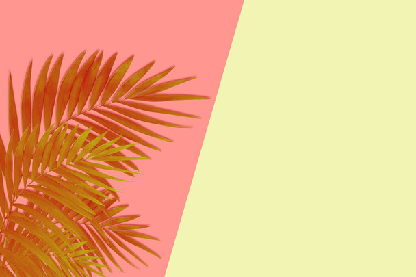 Exotic brown tropical palm leaves isolated on pink yellow background. Flyer for ad, design. - Photo, image