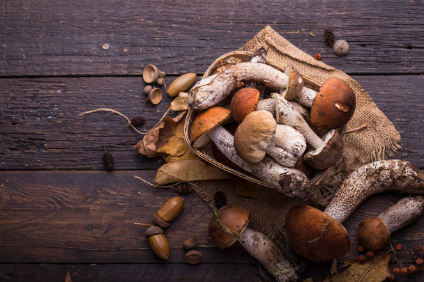 Ceps Mushroom Boletus over Wooden Background. Autumn Boletus edulis Mushrooms close up on wood rustic table. Cooking delicious organic mushrooms. Gourmet food - Foto, Imagen