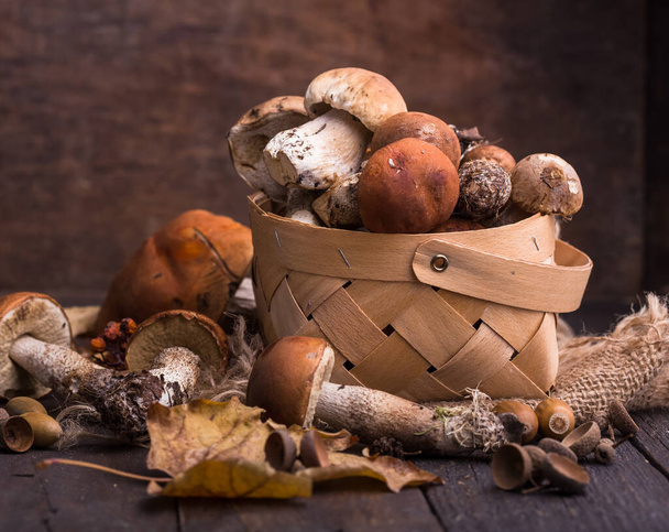 Ceps Mushroom Boletus over Wooden Background. Autumn Boletus edulis Mushrooms close up on wood rustic table. Cooking delicious organic mushrooms. Gourmet food - Photo, Image