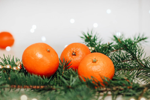 Clementines on a spruce branch against the background of a Christmas garland. - Valokuva, kuva