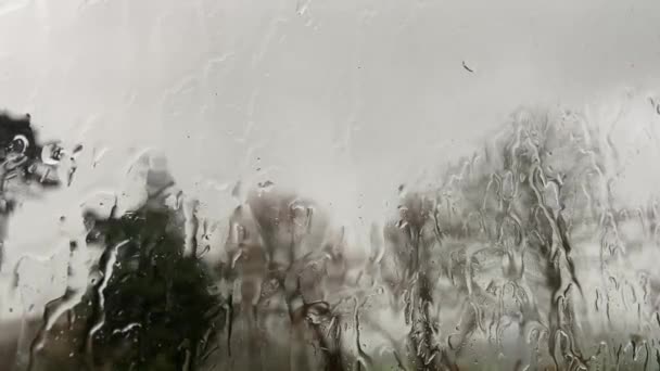 agua de lluvia cayendo contra el cristal de la ventana árboles visibles a través del fondo de agua - Imágenes, Vídeo