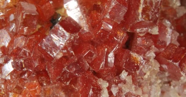 cristaux de vanadite rougeâtre sur le substrat rocheux - Séquence, vidéo