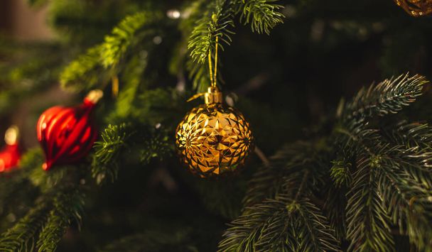 Όμορφο χριστουγεννιάτικο δέντρο με κόκκινα και χρυσά παιχνίδια σε κλαδιά κοντά. Έννοια της ατμόσφαιρας του νέου έτους και εορταστική διάθεση. - Φωτογραφία, εικόνα