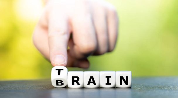 Beynini eğit. Zar, tren ve beyin kelimelerini oluşturur.. - Fotoğraf, Görsel