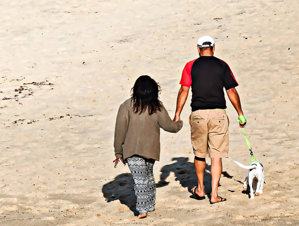 Ein Mann und eine Frau gehen mit dem Welpen am Strand spazieren - Foto, Bild