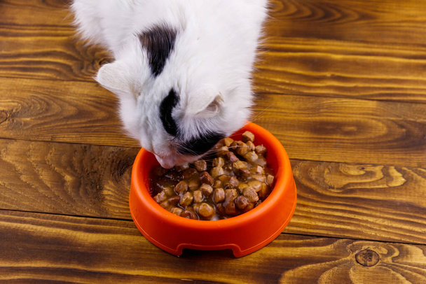 Roztomilý kočka jíst jeho jídlo z oranžové plastové mísy na dřevěné podlaze - Fotografie, Obrázek