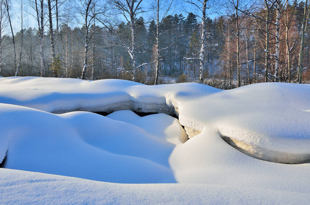 冬の森の近くの雪の表面の柔らかい奇妙な曲線。雪の表面、美しい巻き雪のドリフトのツイスト救済。雪のライン、太陽の光と青の影の美しさ-冬の風景 - 写真・画像