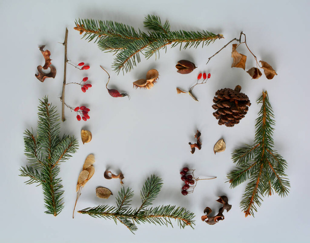 Winter and autumn background from natural materials. Flat lay. - Foto, imagen