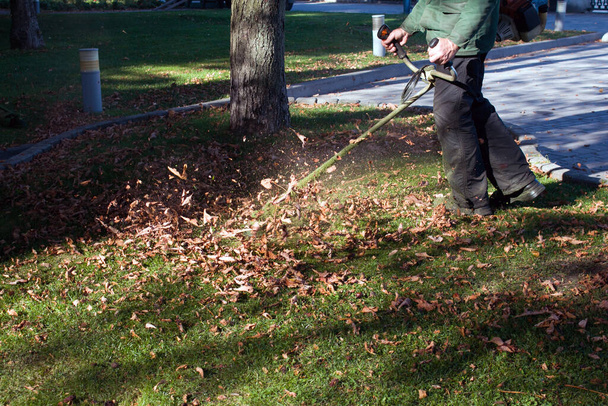 Autumn work in the park. The gardener cuts the grass before winter. - Photo, Image