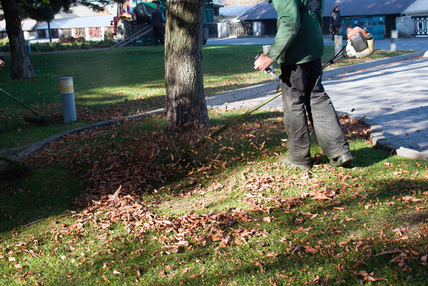 Trabalho de outono no parque. O jardineiro corta a grama antes do inverno. - Foto, Imagem