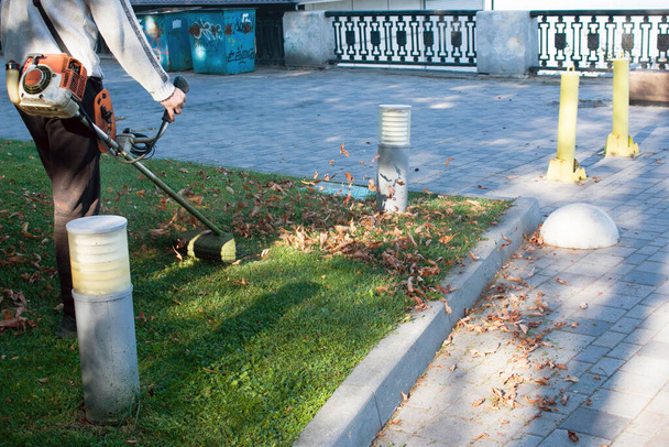 Осенние работы в парке. Садовник подстригает траву до зимы. - Фото, изображение