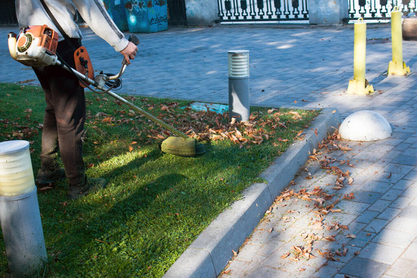 Trabajo de otoño en el parque. El jardinero corta la hierba antes del invierno. - Foto, imagen