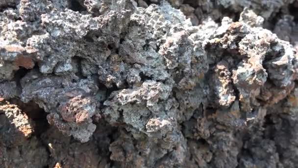 Spongy Porous Broken Basalt Stones Το Basalt είναι ένα κοινό εκκολαπτόμενο πυριγενές ηφαιστειακό πέτρωμα που σχηματίζεται από την ταχεία ψύξη της βασαλτικής λάβας που εκτίθεται στην επιφάνεια της γης ή πολύ κοντά σε αυτήν. Basalt περιγράφει το σχηματισμό σε μια σειρά από lavas ροές. Βασάλτης 4K - Πλάνα, βίντεο