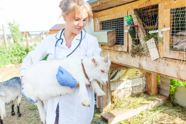 Молодая женщина-ветеринар со стетоскопом держит и осматривает козленка на ранчо. Молодой козел с ветеринарными руками для проверки в природной эко-ферме. Уход за животными и экологическое земледелие - Фото, изображение