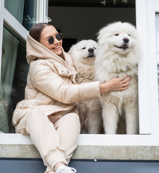 Schattig schot van de twee honden ras samoyed zitten op de vensterbank samen met hun mooie schattige brunette eigenaar. - Foto, afbeelding