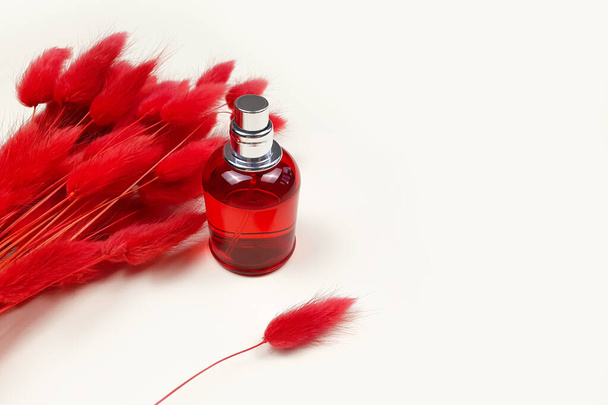 Parfum spray rode fles en rode kruiden Lagurus op ivoren achtergrond met kopieerruimte. Vooraanzicht, model. Fles voor branding en label. - Foto, afbeelding