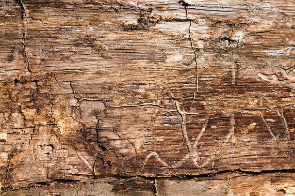 staré špinavé dřevěné textury - Fotografie, Obrázek