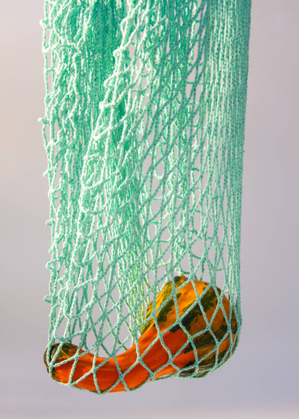 Decorative pumpkin in a mesh shopping bag - 写真・画像